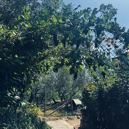 Le Dimore Del Castello In Umbria