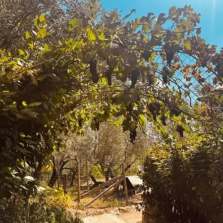 Le Dimore Del Castello In Umbria Ferienhaus *